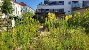 Foto: NABU/ Martin Klatt